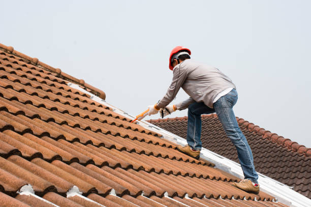 Best Slate Roofing  in Le Roy, IL