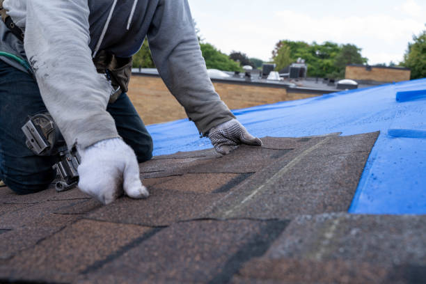 Best Commercial Roofing Services  in Le Roy, IL